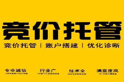 网络推广竞价策略解析与应用案例